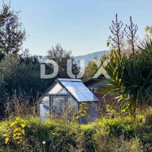 ISTRA, LUPOGLAV, OKOLICA – seosko imanje u Istri s 8 kuća na osami - zemljište od 22.000 m²