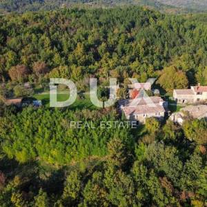 ISTRA, LUPOGLAV, OKOLICA – seosko imanje u Istri s 8 kuća na osami - zemljište od 22.000 m²