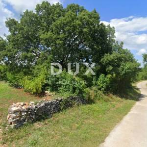 ISTRA, MARČANA - Premium projekt dviju prizemnica s bazenom s poljoprivrednim zemljištem