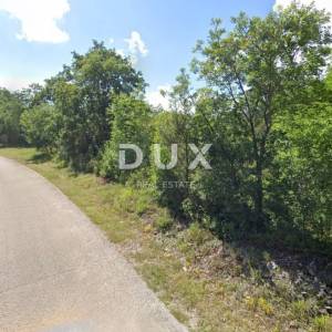 ISTRA, MARČANA - Premium projekt prizemnica s bazenom s poljoprivrednim zemljištem