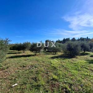 ISTRA, MARČANA - Prostrano zemljište na rubu naselja