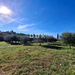 ISTRA, MARČANA - Prostrano zemljište na rubu naselja