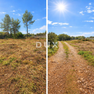 ISTRA, MEDULIN - Fenomenalna prilika