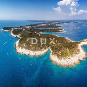 ISTRA, PREMANTURA Maslinik s 50 maslina na rt.u Kamenjak 1300 m2