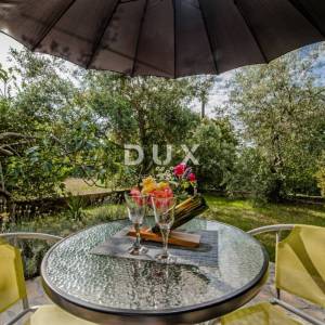 ISTRA, ROVINJ - Apartmanska kuća s prekrasnim vrtom