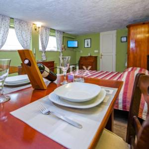 ISTRA, ROVINJ - Apartmanska kuća s prekrasnim vrtom