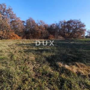 ISTRA, SAVUDRIJA - Poljoprivredno zemljište u idiličnom okruženju