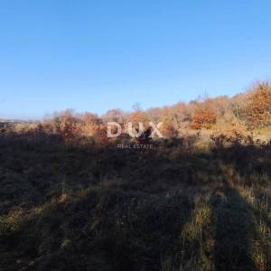 ISTRA, SAVUDRIJA - Poljoprivredno zemljište u idiličnom okruženju