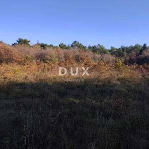 ISTRA, SAVUDRIJA - Poljoprivredno zemljište u idiličnom okruženju