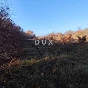 ISTRA, SAVUDRIJA - Poljoprivredno zemljište u idiličnom okruženju