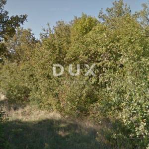 ISTRA, SVETI LOVREČ - Poljoprivredno zemljište 