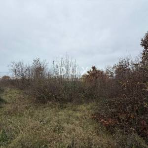 ISTRA, SVETVINČENAT - Poljoprivredno zemljište 725 m² nadomak urbanizacije