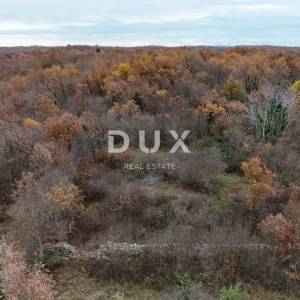 ISTRA, SVETVINČENAT - Poljoprivredno zemljište 725 m² nadomak urbanizacije