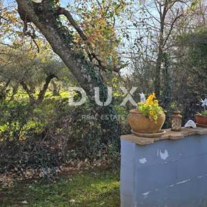 ISTRA, UMAG – Kuća s bazenom u potpunoj privatnosti, okružena zelenilom