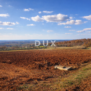 ISTRA, VIŽINADA - Poljoprivredno imanje s potencijalom