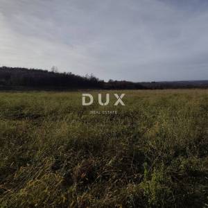 ISTRA, VIŽINADA - Poljoprivredno imanje s potencijalom