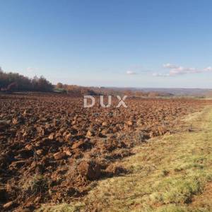 ISTRA, VIŽINADA - Poljoprivredno imanje s potencijalom