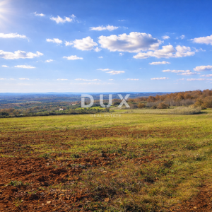 ISTRA, VIŽINADA - Poljoprivredno imanje s potencijalom