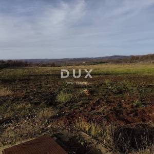 ISTRA, VIŽINADA - Poljoprivredno imanje s potencijalom