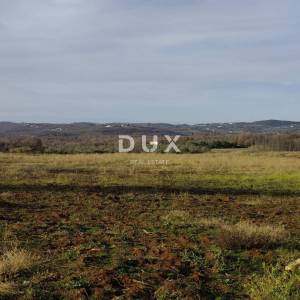 ISTRA, VIŽINADA - Poljoprivredno imanje s potencijalom