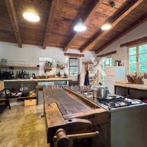 ISTRA, ŽMINJ - Jedinstveno imanje u srcu Istre sa 6 kamenih kuća u uhodanom turističkom najmu