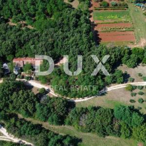 ISTRA, ŽMINJ - Jedinstveno imanje u srcu Istre sa 6 kamenih kuća u uhodanom turističkom najmu