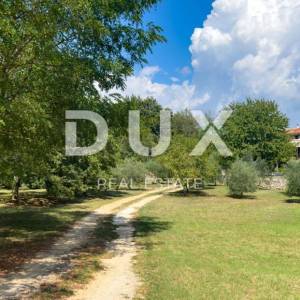 ISTRA, ŽMINJ - Jedinstveno imanje u srcu Istre sa 6 kamenih kuća u uhodanom turističkom najmu