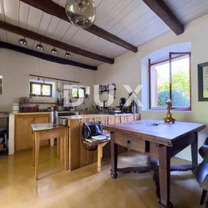 ISTRA, ŽMINJ - Jedinstveno imanje u srcu Istre sa 6 kamenih kuća u uhodanom turističkom najmu