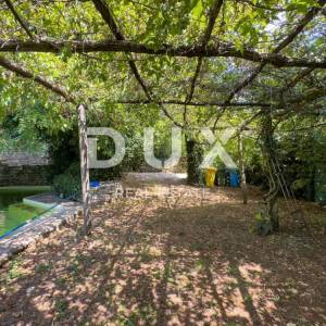 ISTRA, ŽMINJ - Jedinstveno imanje u srcu Istre sa 6 kamenih kuća u uhodanom turističkom najmu