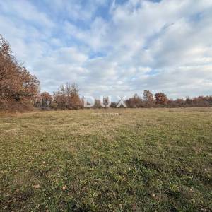 ISTRA,POREČ - Prostrano poljoprivredno zemljište