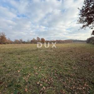 ISTRA,POREČ - Prostrano poljoprivredno zemljište