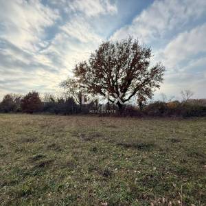 ISTRA,POREČ - Prostrano poljoprivredno zemljište