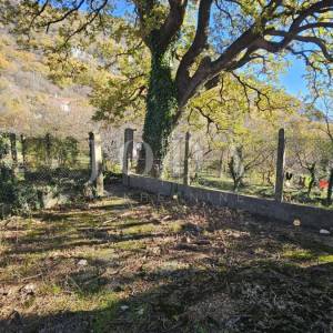 Križišće primorska kuća sa velikom okućnicom