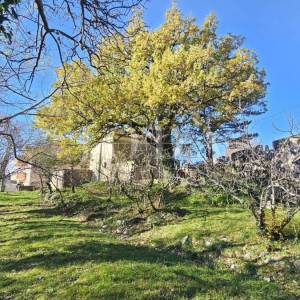 Križišće primorska kuća sa velikom okućnicom