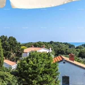 Kuća s apartmanima i bazenom u Premanturi – pogled na more!