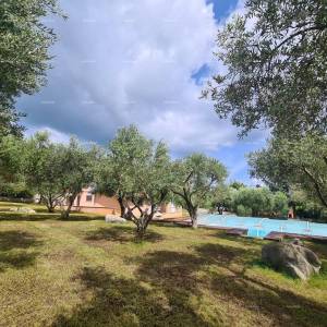 Kuća s bazenom i velikom okućnicom!  Blizina mjesta Marčane.