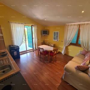 Kuća s bazenom i velikom okućnicom!  Blizina mjesta Marčane.