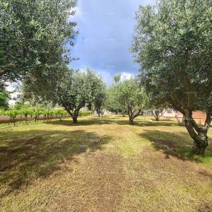 Kuća s bazenom i velikom okućnicom!  Blizina mjesta Marčane.