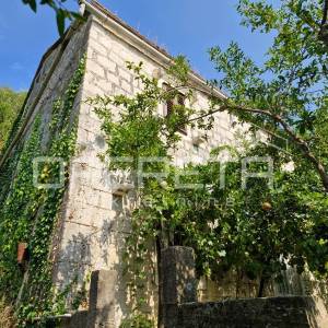 Kuća s potencijalom u Vignju, Pelješac