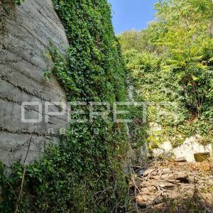 Kuća s potencijalom u Vignju, Pelješac