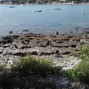 Kuća u blizini Oprtlja, s dvorištem i pogledom na prirodu