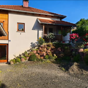 Kuća za stanovanje ili za investora (prodaja)