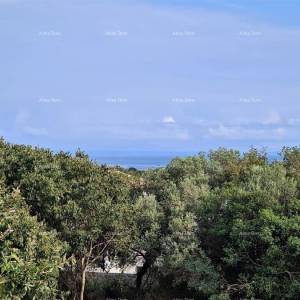 Ližnjan u prodaji  jedna velika i jedna mala kuća.