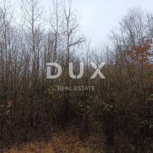 MATULJI, JURDANI-  Građevinsko zemljište 4000m2