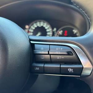 Mazda CX-30 2.0 e-x 186ps 6MT Nagisa