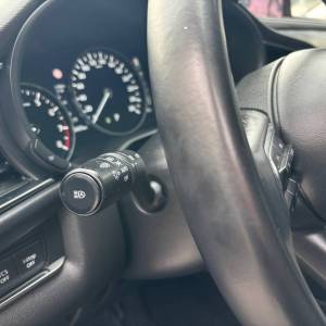 Mazda CX-30 5WGN 2.0L e-SKYACTIV X 186ps 6AT FWD Homura