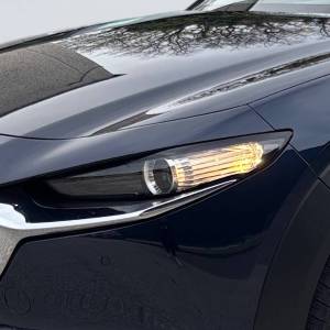 Mazda CX-30 5WGN 2.0L e-SKYACTIV X 186ps 6AT FWD Homura