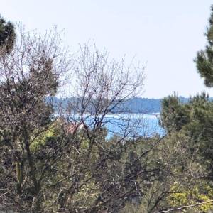 MEDULIN!  STUDIO APARTMAN NA DRUGOM KATU