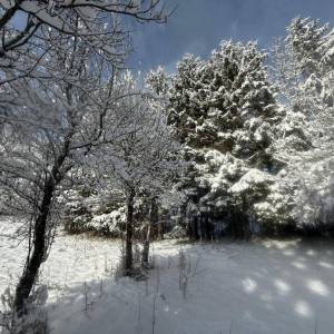 MRKOPALJ - Građevinsko zemljište