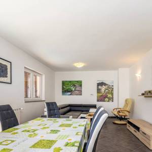 MRKOPALJ - Kuća s tri stana